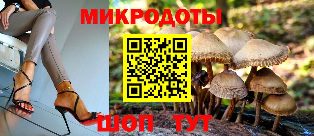 Ярцево  Псилоцибиновые грибы Psilocybe  Вход с VPN  Галлюциногенные грибы мухоморы 